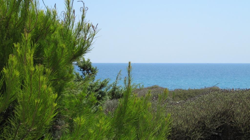 טורה אובו Hotel Costa D'Oro מראה חיצוני תמונה